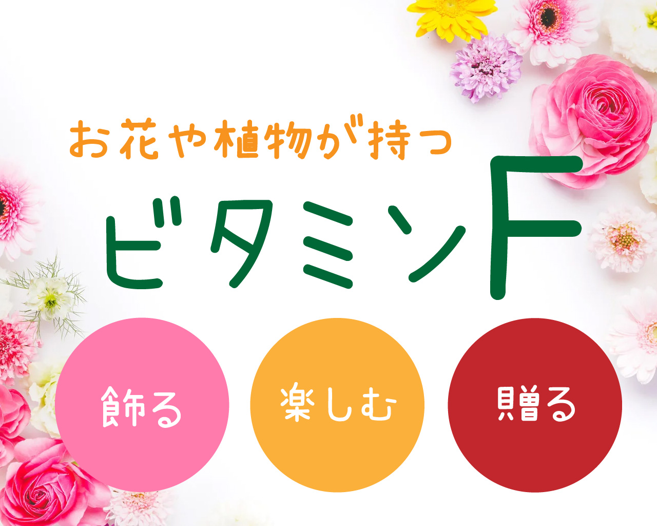 ビタミンF