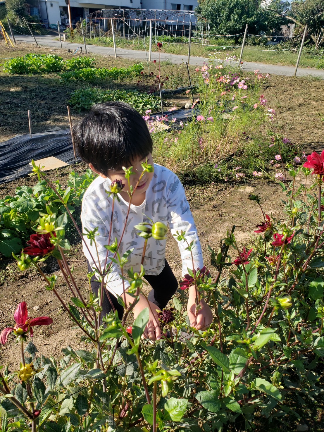 合同会社フジジェネシス